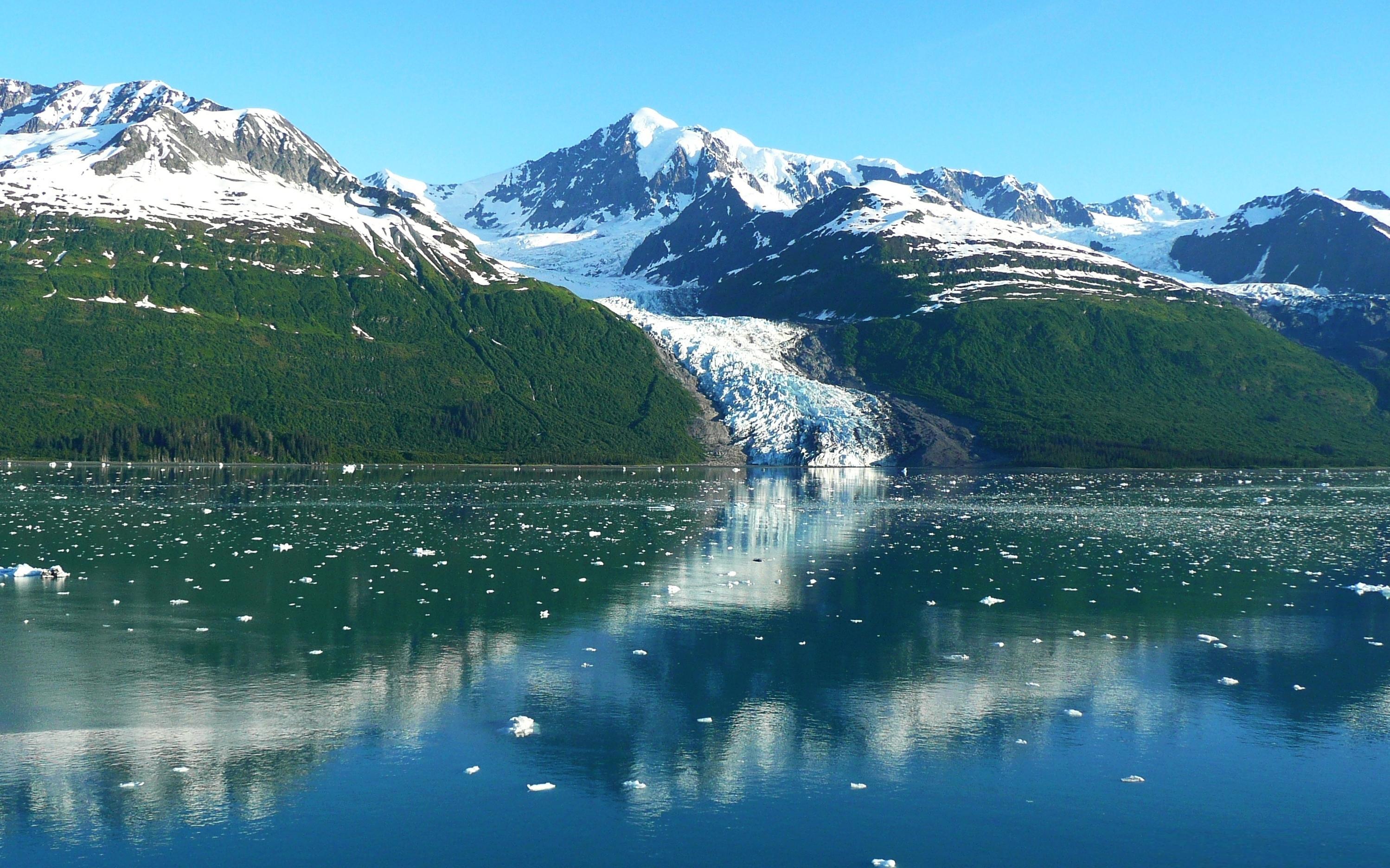 CRUCEROS ALASKA COLLEGE FJORD CRUISES ALASKA CRUISES